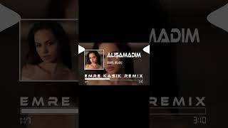 Sibel Bilgiç - Dayanamam Ben Bu Son Gidişine ( Emre Kaşık Remix ) #emrekaşık #remix Resimi