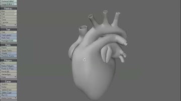 Lightwave 3D | Modeling a Human Heart - Introduction