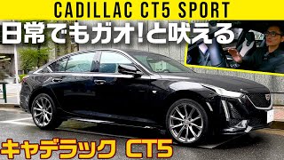 【キャデラック CT5】4WD+2Lターボの意外性アメリカンスポーツ