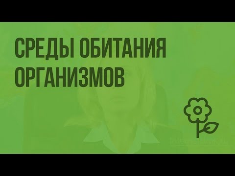 Среды обитания организмов. Знакомство с организмами сред обитания. Видеоурок по природоведению