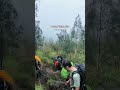 #shortsviral #hiking #sahabatgunung #shortvideo #pendaki #camping #campingberdua #pendakigunung
