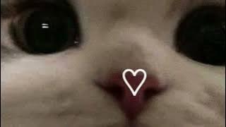 Billie Jean ~[sped up]~