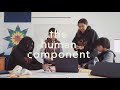 Coding and Education Quiz