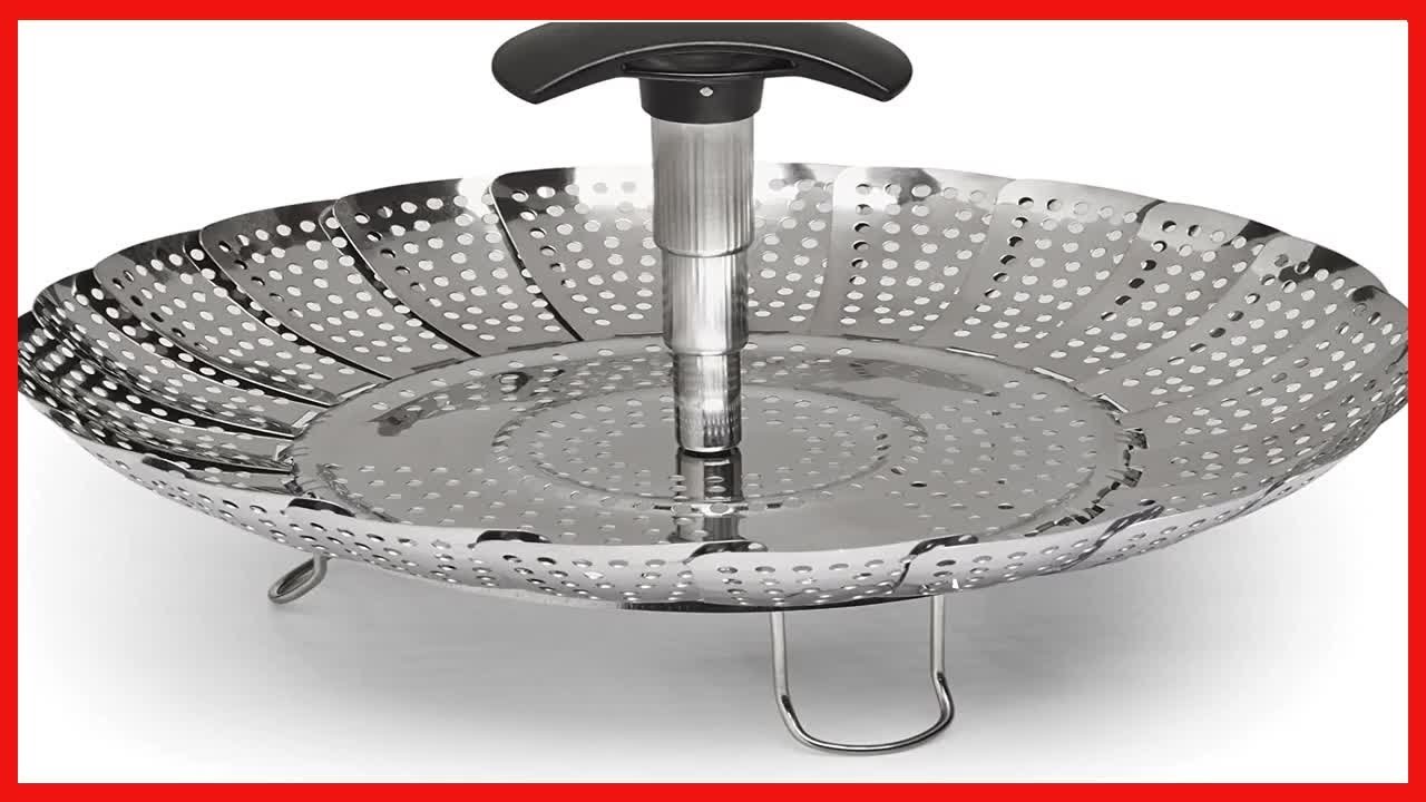 Stainless Steel Steamer with Extendable Handle