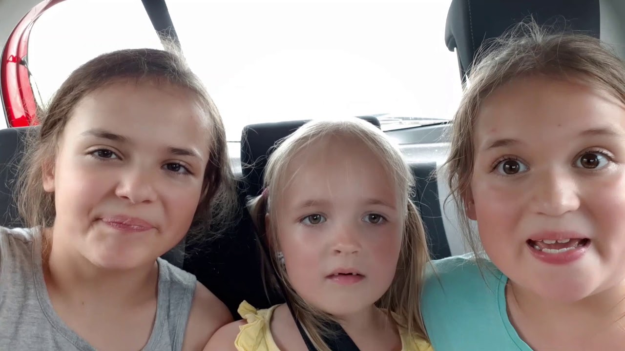 ESITELLÄÄN MEIDÄN KOTIKAUPUNKIA KAVERILLE elina lebessi