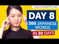 Day 8: 80/300 | Learn 300 Japanese Words in 30 Days Challenge