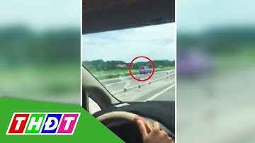 Ô tô đi ngược chiều trên cao tốc Nội Bài - Lào Cai | THDT