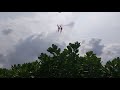 Twin Kites @ West Coast Park