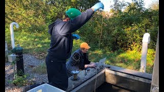Drinking Water Storage Tank Inspection