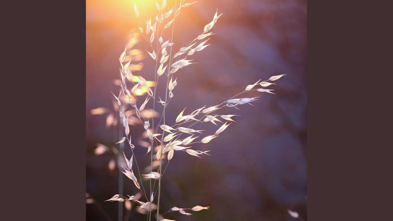 Arc auf YouTube ansehen Arc auf YouTube ansehen