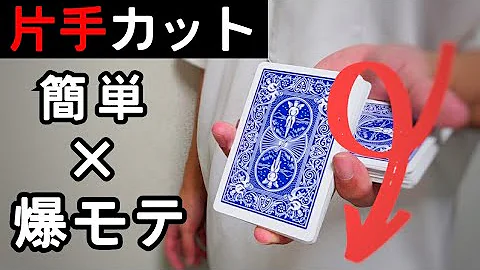 トランプのかっこいい混ぜ方 シャッフル3種類 簡単 初心者用 Mp3 トランプのかっこいい混ぜ方 シャッフル3種類 簡単 初心者用 Mp3