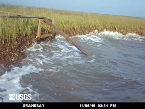 Rapid salt-marsh erosion in Grand Bay, Mississippi