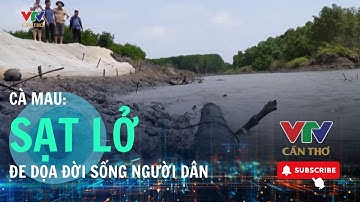 Cà Mau: Người dân lo lắng trước sạt lở ven biển | VTV CẦN THƠ