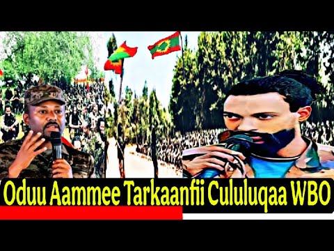Oduu Aammee Guyyaa Hardhaa Hagayya 29 2025 Tarkaanfii Cululuqaa Addaa WBO Afaan Oromoo 