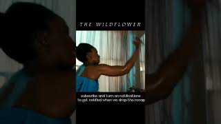 the wildflower nollywood movie recap africa nollywood filmreview  2023movies nollywoodmovies