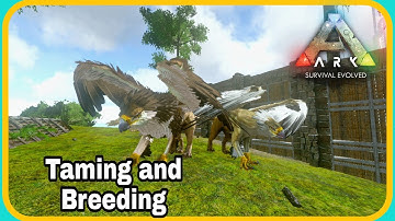 Taming Griffin For Breeding! | Ark Survival Evolve