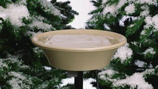 Heated Birdbath Options