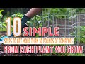 10 Simple Steps To Get More Than 50 Pounds of Tomatoes From Each Plant You Grow