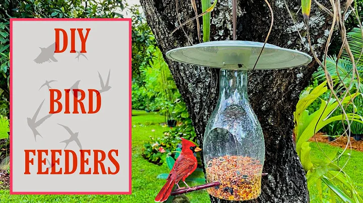 DIY Bird Feeders/Upcycled...  Garden Projects/Easy