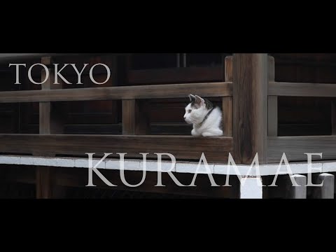 蔵前橋、蔵前神社、そして猫。 【BGMだけの動画】 KURAMAE, TOKYO.