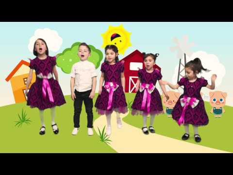 CANDY STUDIO - გოჭები