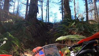 Unmarked Black Diamond Trail - Diamond Mill OHV