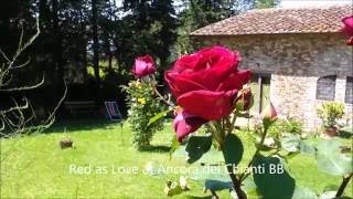 Holidays in Tuscany at Ancora del Chianti Eco BB & Art Retreat