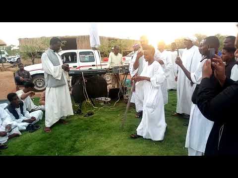 الشاعر ودالبرير الكردفاني