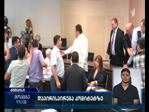 გომელაურის კანდიდატურა კენჭისყრაზე გადის - ხმაურიანი საკომიტეტო მოსმენა პარლამენტში