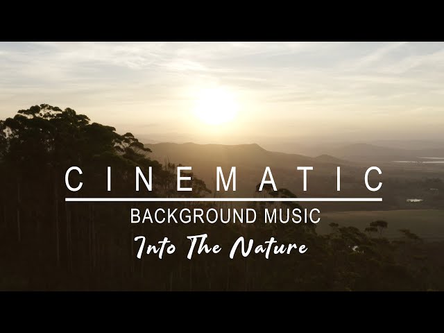 (No Copyright) Cinematic Background Music - Into The Nature Vol. 01 class=