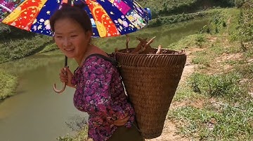 kuv tus niam tsev wb mus khawb qo lo pub qaib