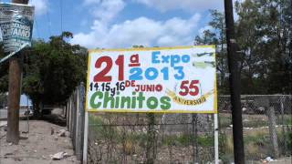 Chinitos Angostura Sinaloa Parte 2