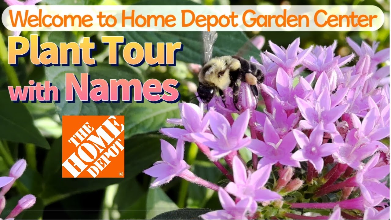 Plant Shopping 2023/ Plant Tour with Names/ Home Depot Garden Center