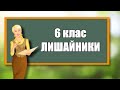 ЛИШАЙНИКИ |6 клас| Біологія