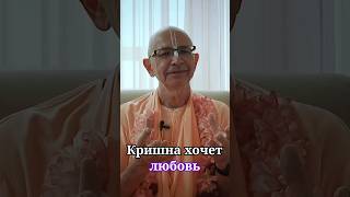 Кришна хочет любовь - Бхакти Вигьяна Госвами