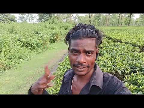 My First Vlog