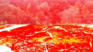 We are made of meat FLASHING AND BLOOD/GORE WARNING