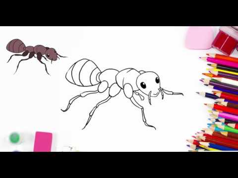 Côn trùng kiến Vẽ Clip nghệ thuật  con kiến png tải về  Miễn phí trong  suốt Mật Ong png Tải về