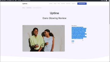Uptime WordPress Theme - Testimonial Post Type Overview