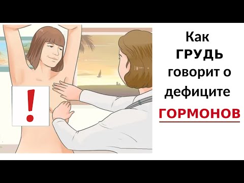 Тестостерон и мускулы Влагалища. Как действует тестостерон у женщин?