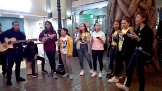 DLSZ ALE 2017 PERFORMANCE
