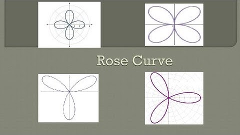 Curve tracing Rose Curve 1