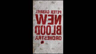 Peter Gabriel - Downside Up (Live Blood)