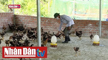 Cảnh báo nguy cơ cúm gia cầm độc lực cao tại Việt Nam