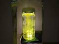 turmeric Viral magic video! #shortsvideo #viral
