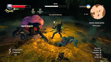 The Witcher 3 - Contract: Missing Brother: Harrisi (Giant Spider) Cutscene & Fight Gameplay PS4
