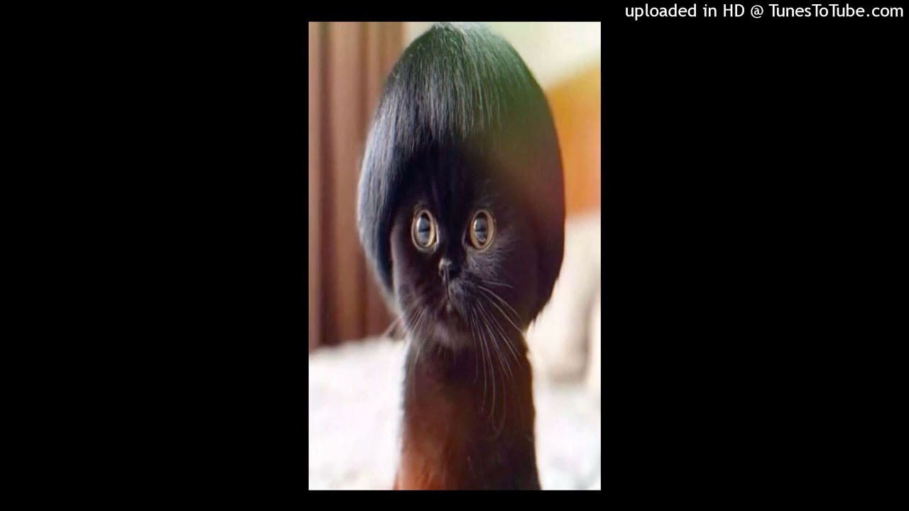 free | tewiq + greyrock + type beat - naprasno (prod. enyoli + kaorru4)