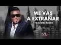 Me Vas a Extrañar  - Luis Miguel del Amargue - Audio Oficial
