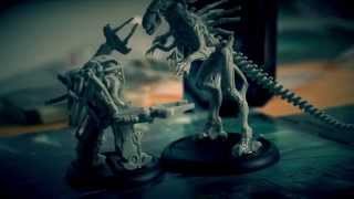 AVP The Hunt Begins Showcase (HD Brettspiel)