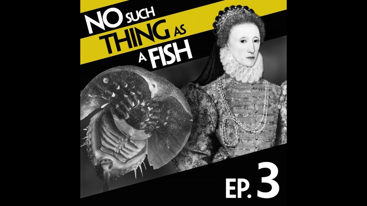 No Such Thing As The Middle Ages